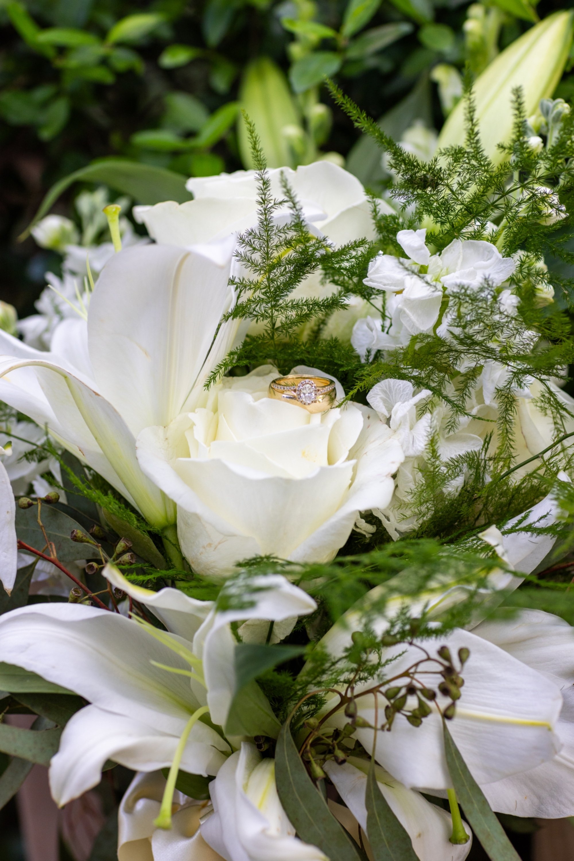 carousel-hero-element image-2