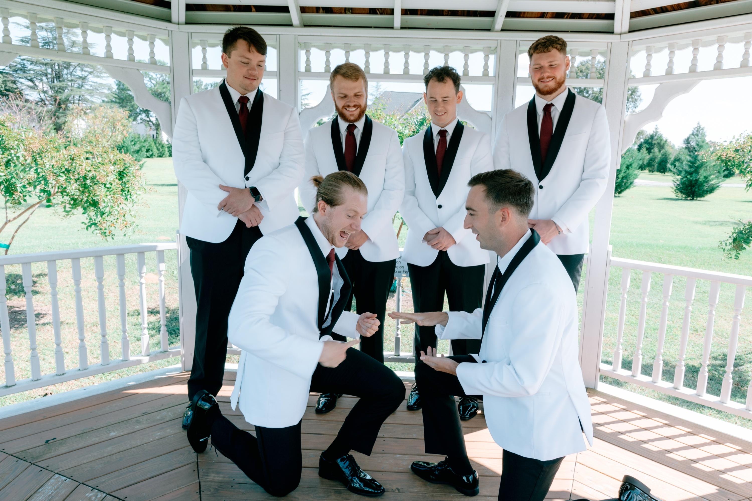 carousel-hero-element image-2